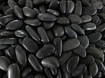 Black river rocks